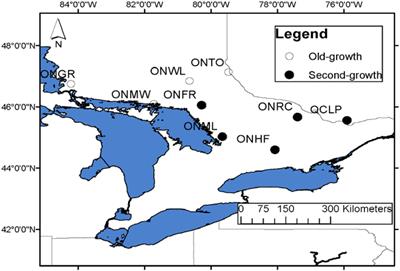 Genetic Diversity, Structure and Effective Population Size of Old-Growth vs. Second-Growth Populations of Keystone and Long-Lived Conifer, Eastern White Pine (Pinus strobus): Conservation Value and Climate Adaptation Potential